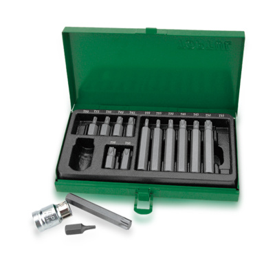 Набор бит 10 мм TORX с адаптером 1/2", 15 предметов TOPTUL GAAD1506 Набор бит 10 мм TORX с адаптером 1/2", 15 предметов TOPTUL GAAD1506